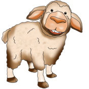 Schaf vom Bauernhof